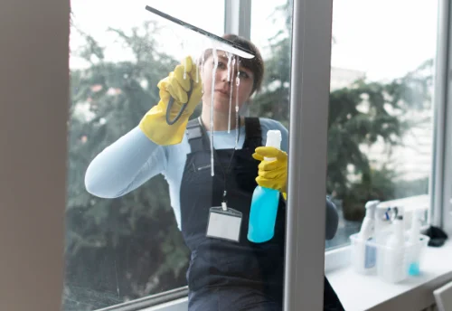 Nettoyage de vitres intérieures et extérieures à Vergeroux